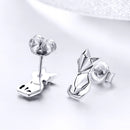 925 Sterling Silver Earrings for Women