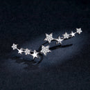 925 Sterling Silver Earrings with Plated Platinum and Pavé Setting CZ