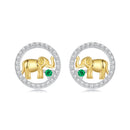 925 Sterling Silver Earrings with CZ in White Gold Plated for Women