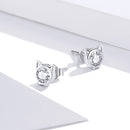 925 Sterling Silver Plated Platinum CZ Earrings for Women