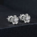 S925 Sterling Silver 3.00 Carat Moissanite Earrings for Women