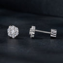 925 Sterling Silver Moissanite 0.15ct/0.027ct Earrings for Women