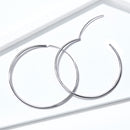 925 Sterling Silver Earrings for Women