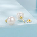 925 Sterling Silver Freshwater Pearl Earrings for Women