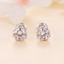925 Sterling Silver Moissanite 0.5 Carat Earrings for Women