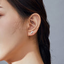S925 Sterling Silver Earrings for Women