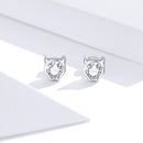925 Sterling Silver Plated Platinum CZ Earrings for Women