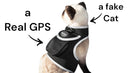 Collar Rechargeable Portable GPS Tracking Devices for Pets GSM Locator Size:S