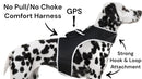 Waterproof GPS Tracker Dog Cat Rechargeable Locator with Battery Alert Size:L