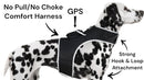 Waterproof Mini Pet Location Finder w/ Pet GPS Tracking Cell Phone App Size:M