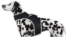 GSM GPS Animal Tracker Collar Attached Rechargeable Realtime Surveillance Gadget Size:XXL