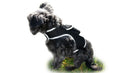 Consistent Realtime Mini Cat Dog GPS Tracking Collar Waterproof Device Size:L