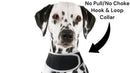 Keep Pet Safe with Pet Tracker GPS Dog Collar Tracking Device + Phone App Size:M