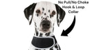 Waterproof GPS Tracker Dog Cat Rechargeable Locator with Battery Alert Size:L