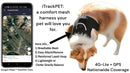Easy Setup Waterproof Mini GPS Realtime Pet GSM GPRS Tracking Device Size:L
