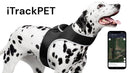 Collar Rechargeable Portable GPS Tracking Devices for Pets GSM Locator Size:XS