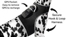 Keep Pet Safe with Pet Tracker GPS Dog Collar Tracking Device + Phone App Size:M