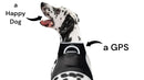Collar Rechargeable Portable GPS Tracking Devices for Pets GSM Locator Size:XS