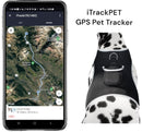 Consistent Realtime Mini Cat Dog GPS Tracking Collar Waterproof Device Size:L