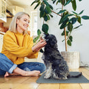 GBruno Washable Dog Pee Pad