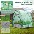 6 x 6 x 6.6 FT Outdoor Wall-in Tunnel Greenhouse