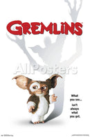 Gremlins Game & Movie Bundle (Nintendo NES)