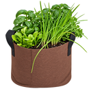 GrowBag Garden Lab - Pesto