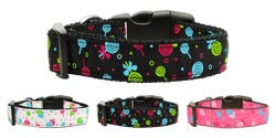 Pet Dog & Cat Nylon Collar or Leash,