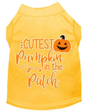 Halloween Pet Dog & Cat Shirt Screen Printed, "Cutest Pumpkin In The Patch"