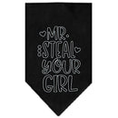 Pet and Dog Bandana Screen Printed, "Mr. Steal Your Girl"