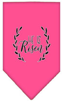 Pet and Dog Bandana Screen Printed, "He Is Risen"