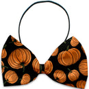 Pet, Dog and Cat Bow Ties, "Fall Frenzy Group"