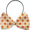 Pet, Dog and Cat Bow Ties, "Fall Frenzy Group"