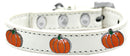 Dog, Puppy and Pet Widget Fashion Collar, "Pumpkin"