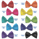 Pet, Dog and Cat Bow Ties, "Swiss Dots Group"