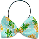 Pet, Dog and Cat Bow Ties, "Summertime Fun Group"