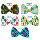 Pet, Dog and Cat Bow Ties, "Summertime Fun Group"