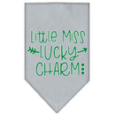 Pet and Dog Bandana Screen Printed, "Little Miss Lucky Charm"