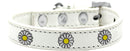 Dog, Puppy and Pet Widget Fashion Collar, "White Daisies"