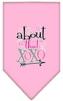 Pet and Dog Bandana Screen Printed, "It's All About That XOXO"