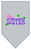 Pet and Dog Bandana Screen Printed, "Big Sister"