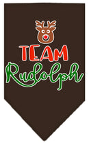 Christmas Pet and Dog Bandana Screen Printed, "Team Rudolph"
