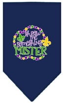 Pet and Dog Bandana Screen Printed, "Throw Me Something Mister"