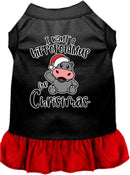 Christmas Pet, Dog and Cat Dress Screen Printed, "I Want A Hippopotamus For Christmas"