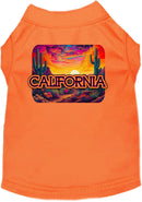 Pet Dog & Cat Screen Printed Shirt for Medium to Large Pets (Sizes 2XL-6XL), "California Neon Desert"
