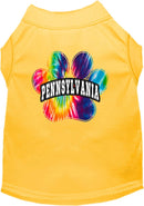 Pet Dog & Cat Screen Printed Shirt for Small to Medium Pets (Sizes XS-XL), "Pennsylvania Bright Tie Dye"