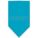 Pet and Dog Bandana Rhinestone, "Cheeky"