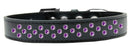 Dog, Puppy & Pet Fashion Collar, "Purple Crystal Rimsets Sprinkles"