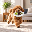 Personalized Photo Dog Flying Disc | Custom Pet Fetch Toy - Upload your Dog Photo