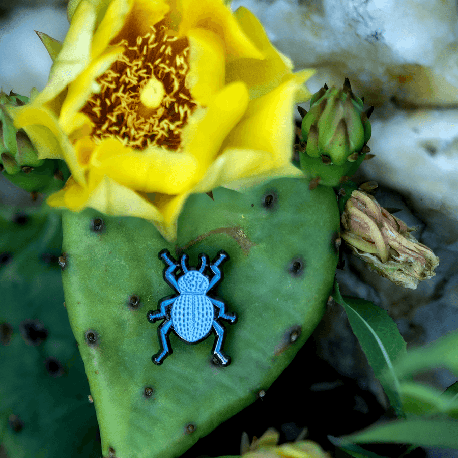 Blue Death Feigning Beetle Enamel Pin